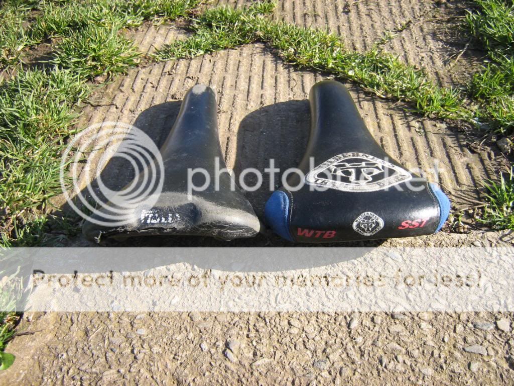 IMG_3715.jpg