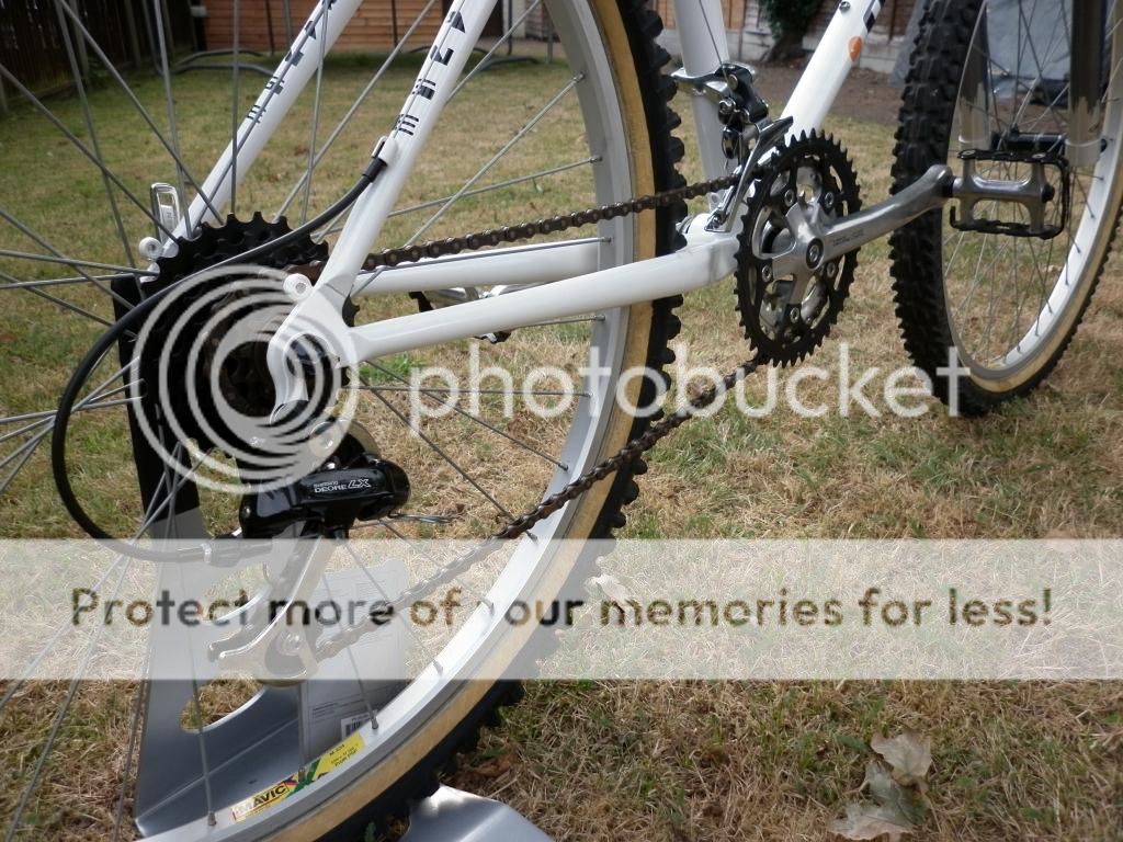P1000803_zps11a4e78a.jpg