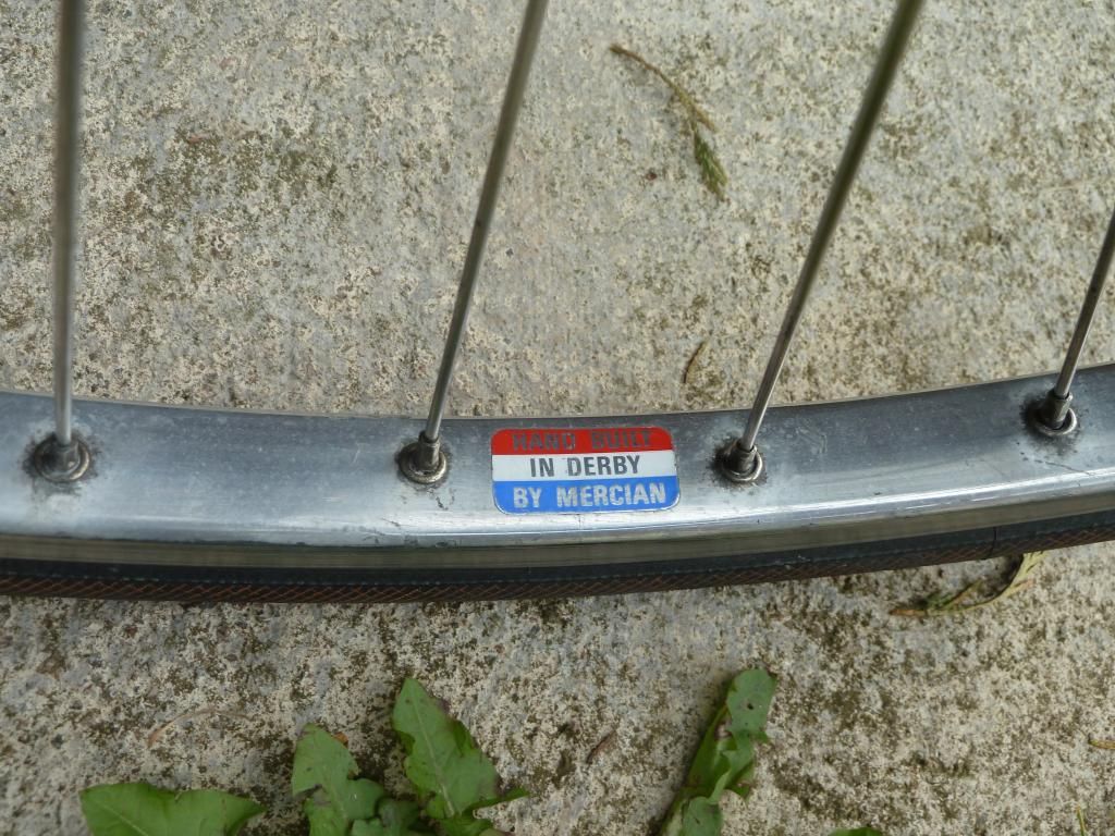raleigh008.jpg