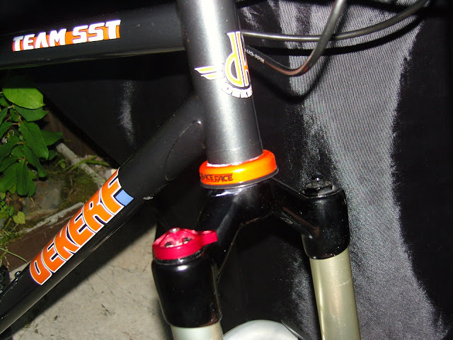 SNC10342.JPG