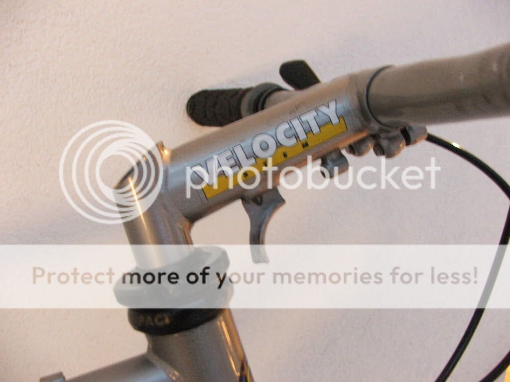 DSCF5532.jpg