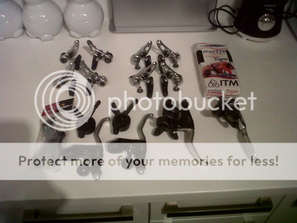 IMG00006-20101130-0713.jpg