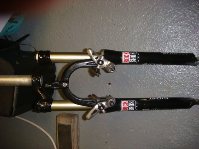 DSC01304.jpg