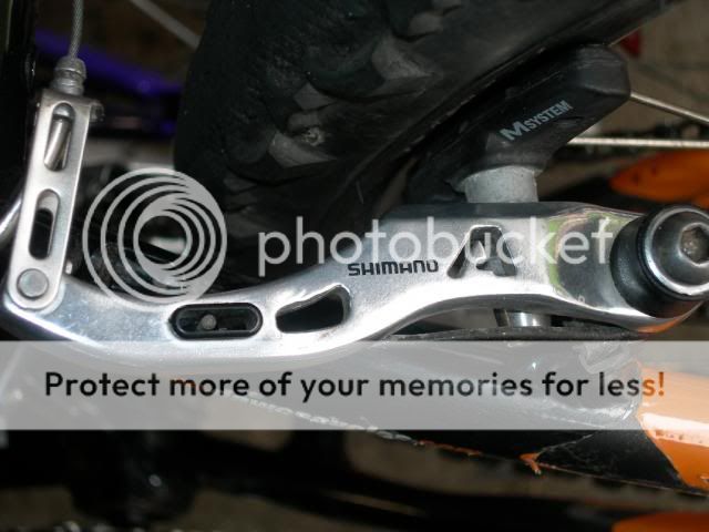 DSCN8657_zps1cae6d77.jpg