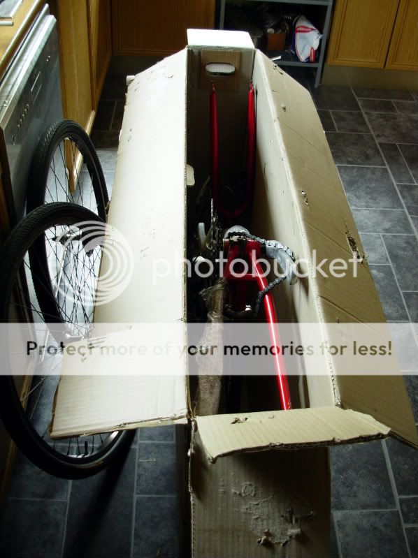 bianchi343.jpg