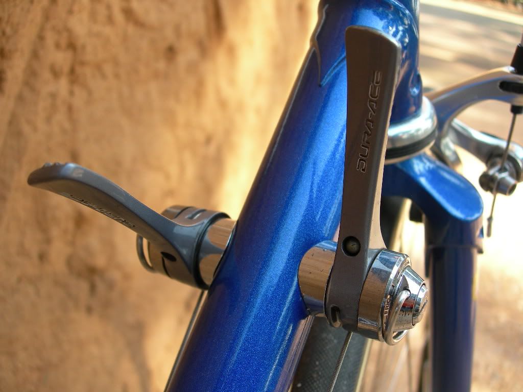 DSCN7657.jpg
