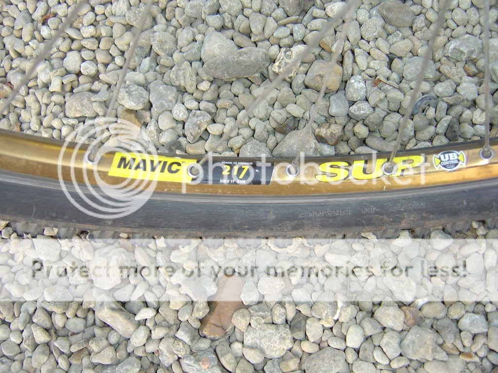 DSC06089.jpg