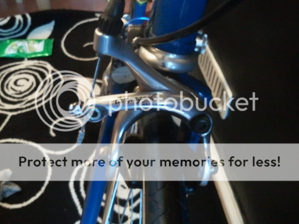 2011-12-29132333.jpg