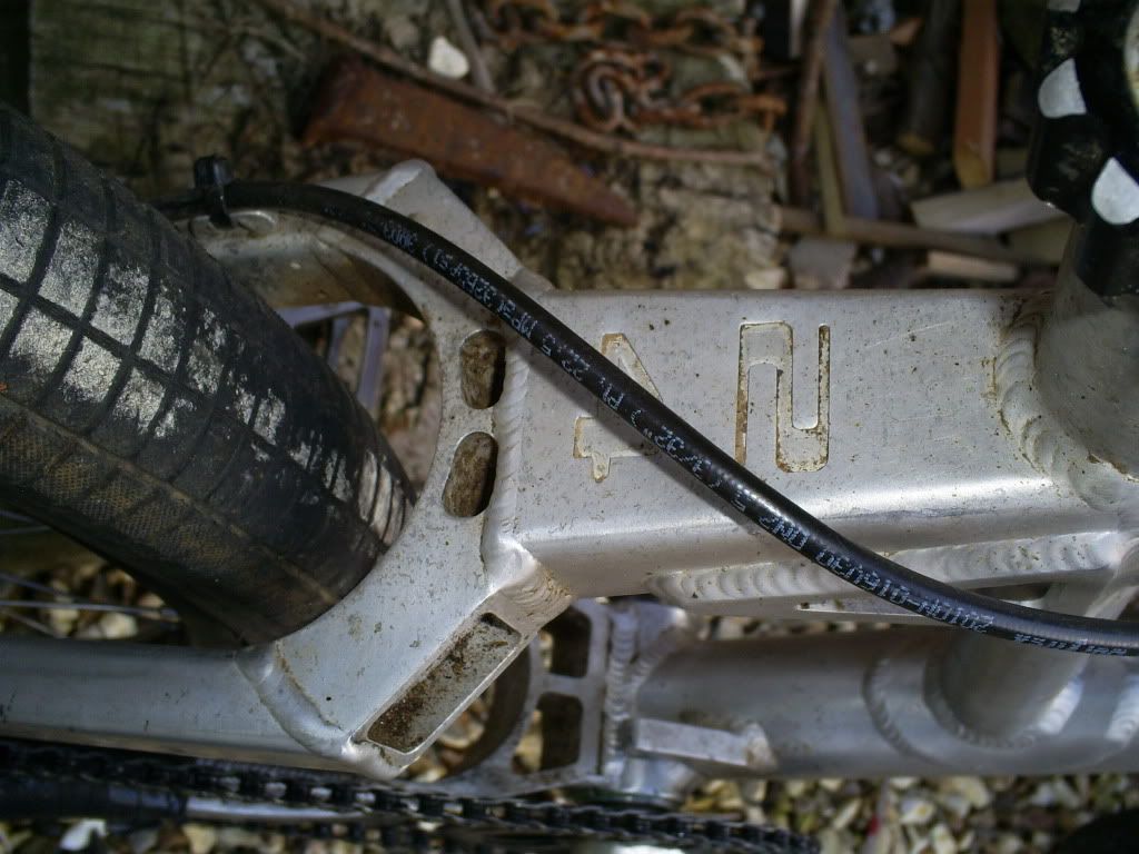 S5032626.jpg