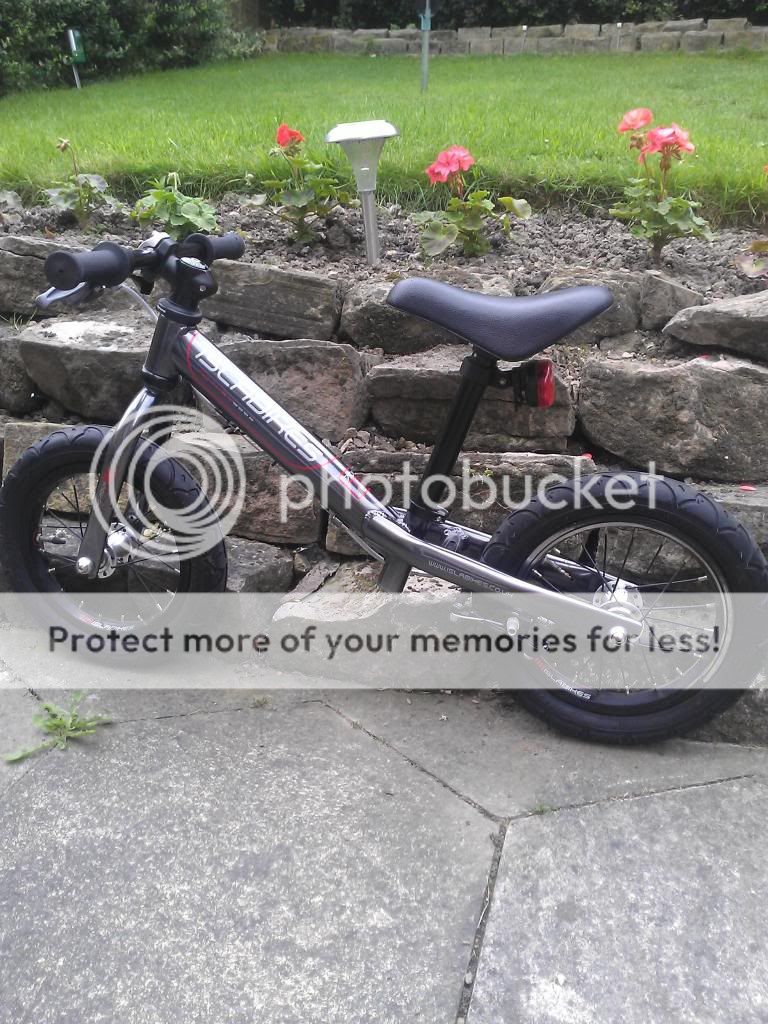 WP_000198.jpg