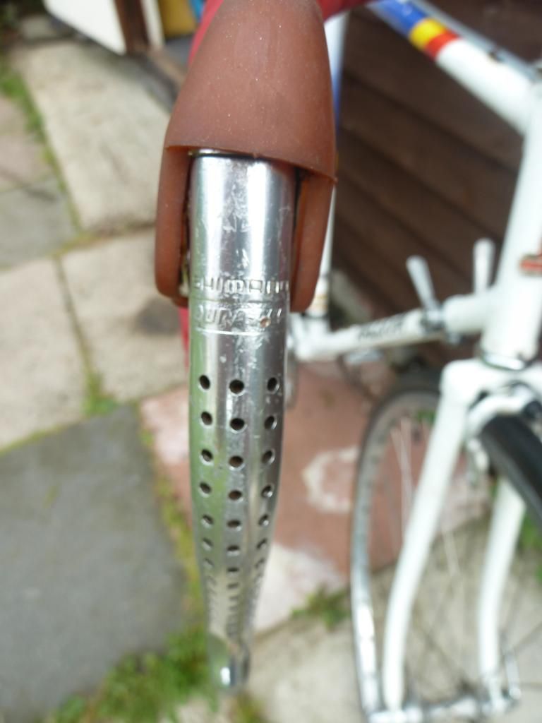 raleigh004.jpg