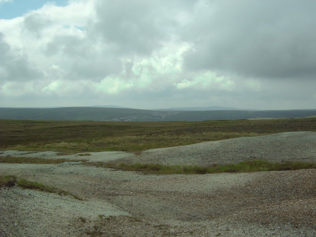 IMG00375.jpg