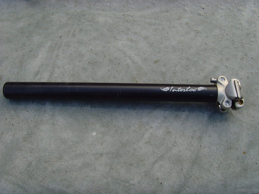 SNV36310.jpg