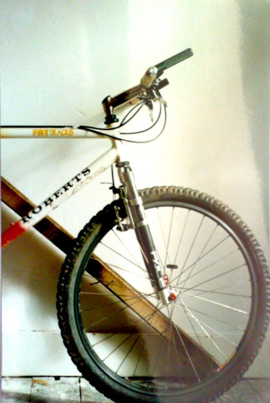 roberts-white-spider-1994S3.jpg