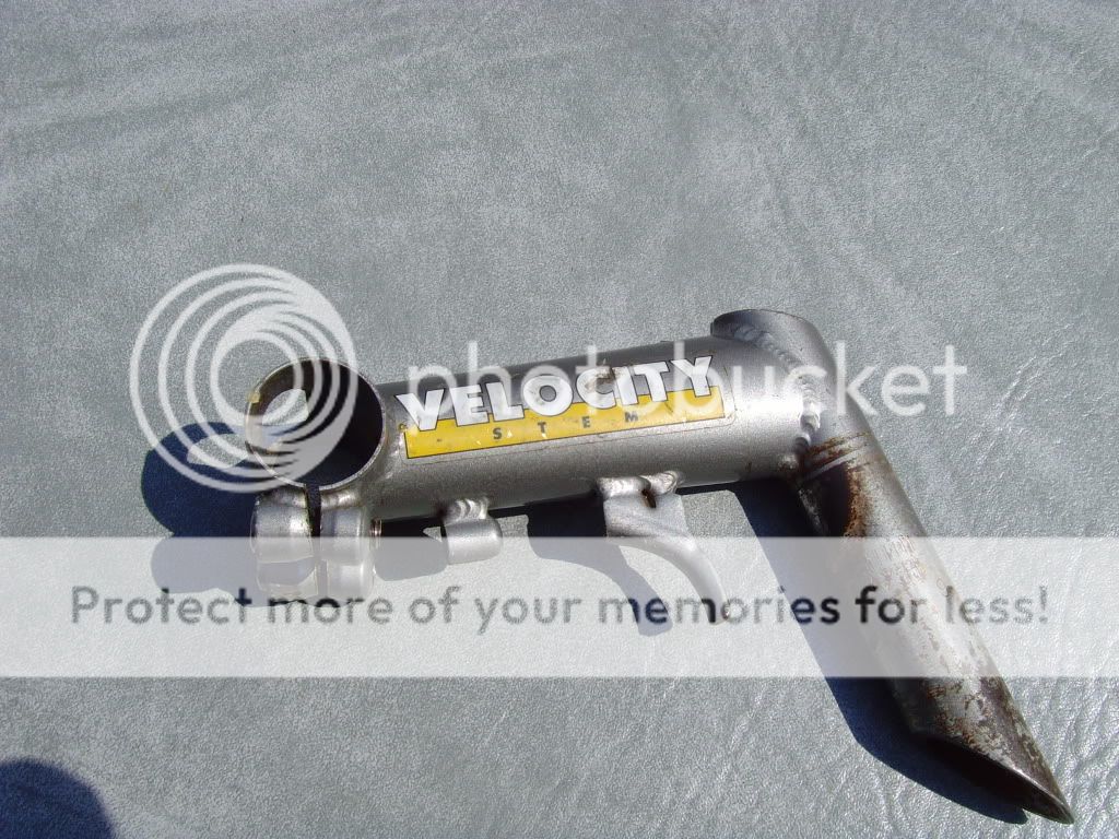 SNV35439.jpg