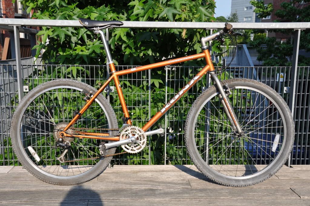 DSC_0127.jpg