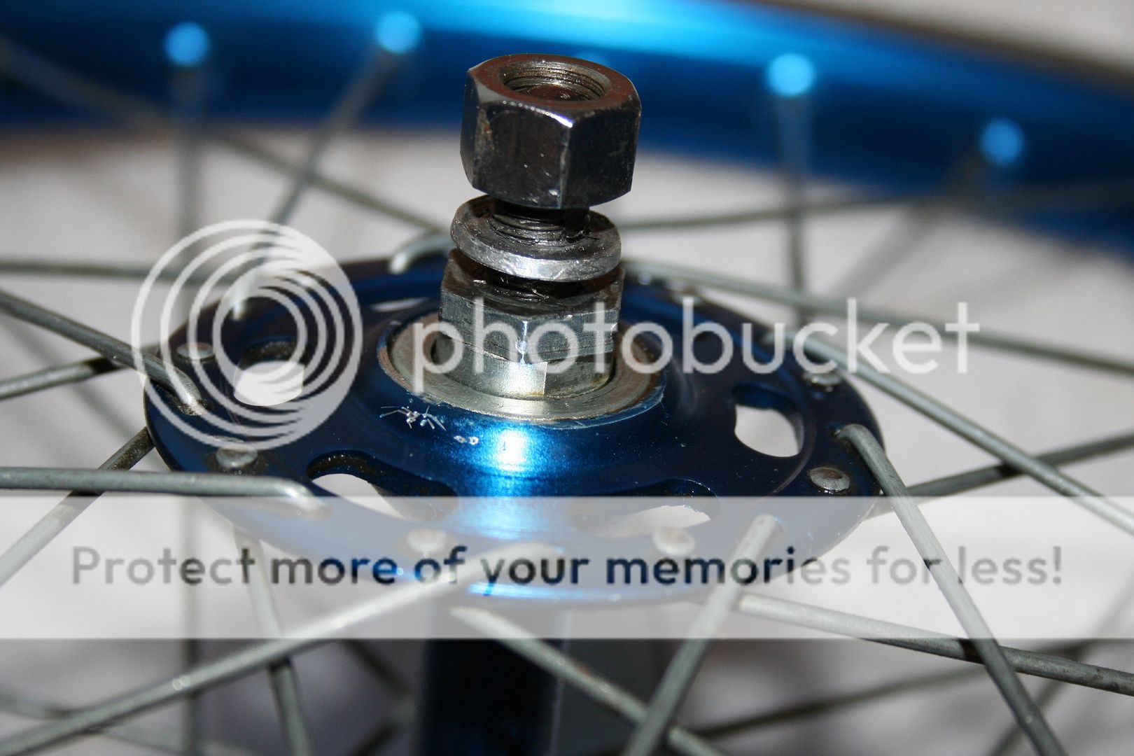 file-2455.jpg