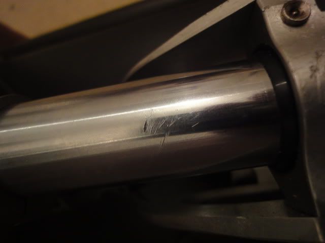 DSC01196.jpg