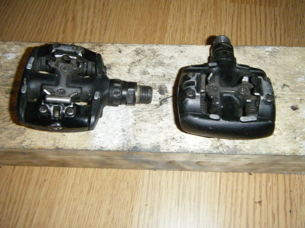 dscf5446.jpg