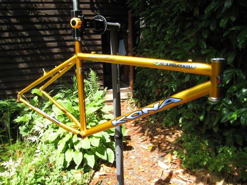 project001.jpg