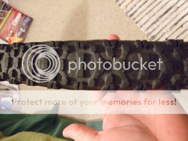 2012_02170004.jpg