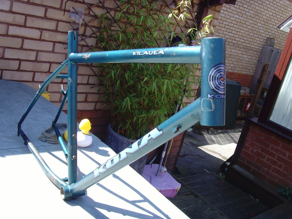 SNV36932.jpg