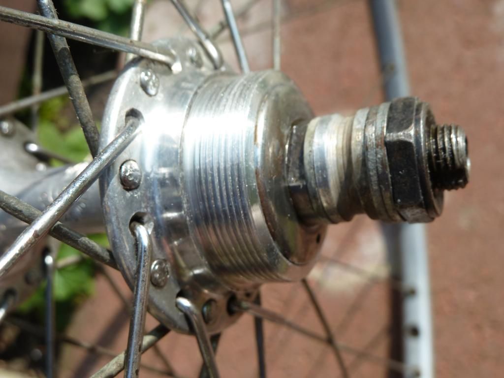 campywheels008.jpg