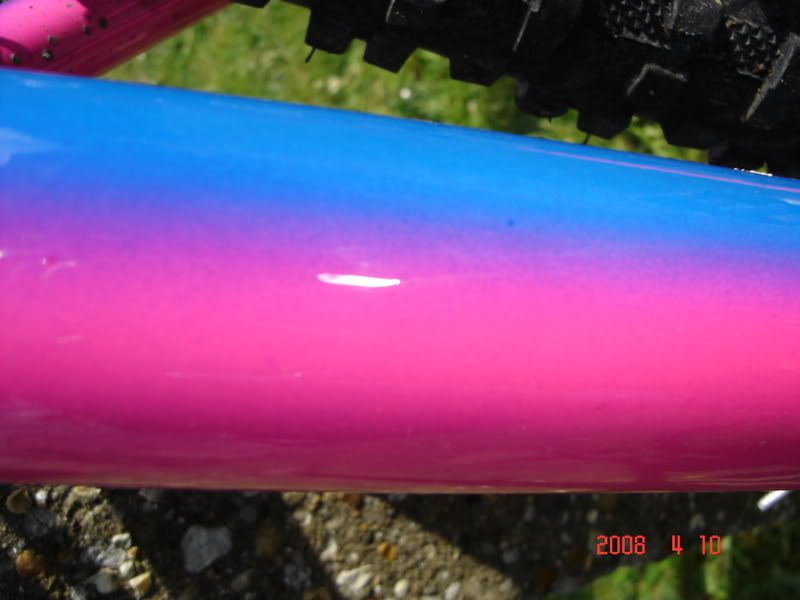 DSC02387.jpg