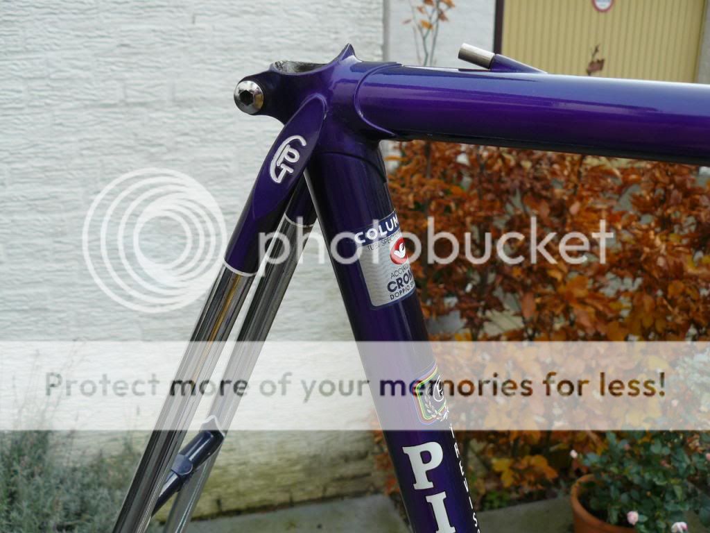 P1040450_zps800c3d75.jpg
