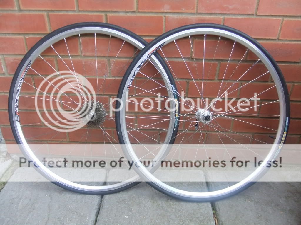 DSCF3167.jpg