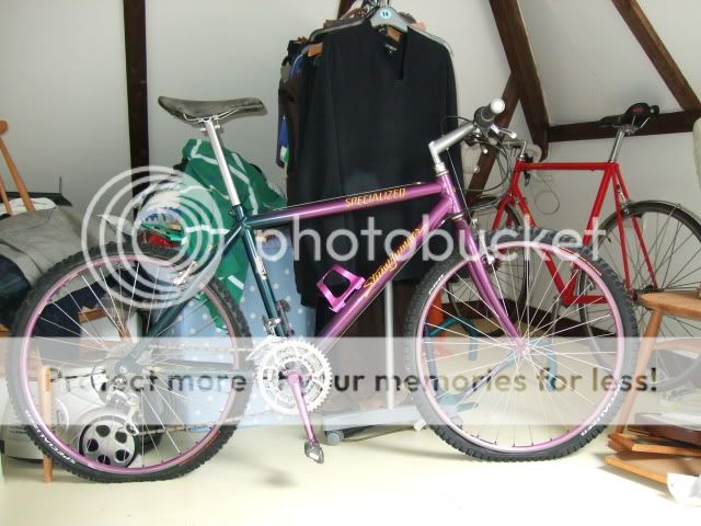 2011_08240089.jpg