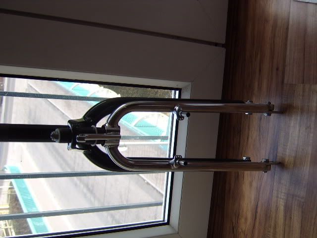 STA70264.jpg
