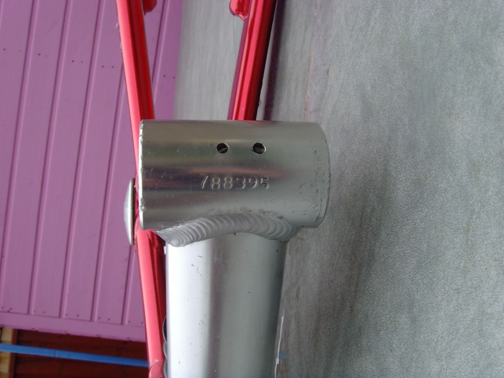 SNV36761.jpg