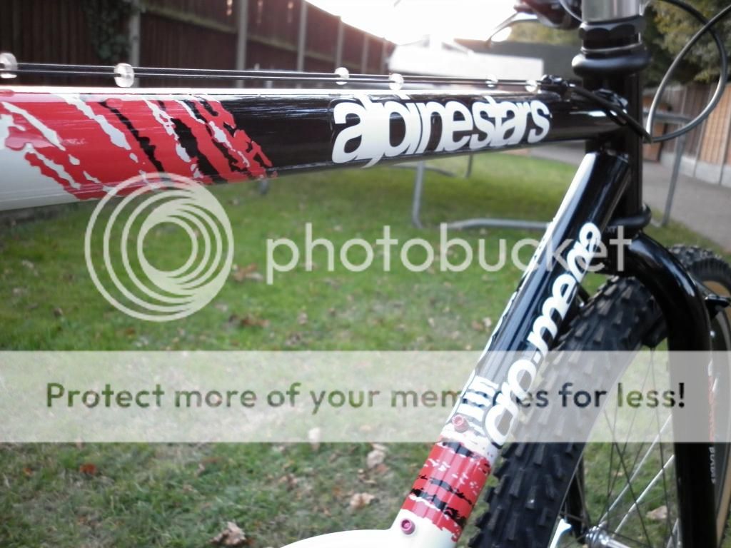 P1000894_zps1fd915be.jpg