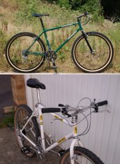 BoTM August 2011 are spesh's 1987 Muddy Fox Courier and FMJ's 1995 Brodie Sovereign