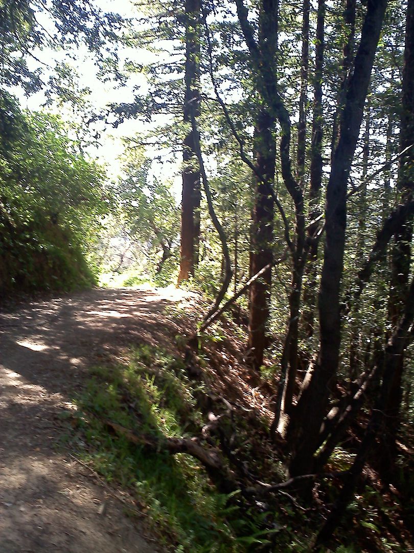 20110510160748.jpg