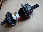 p1pb8206143.jpg