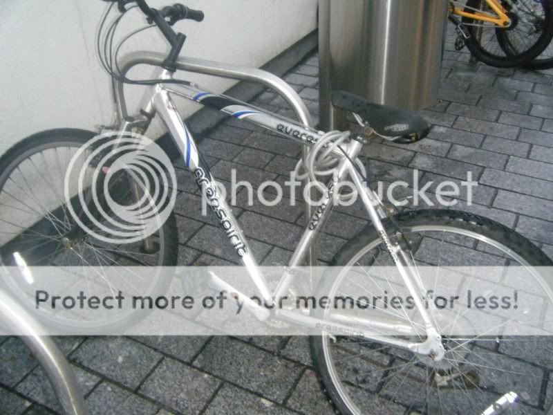 DSCF1774.jpg