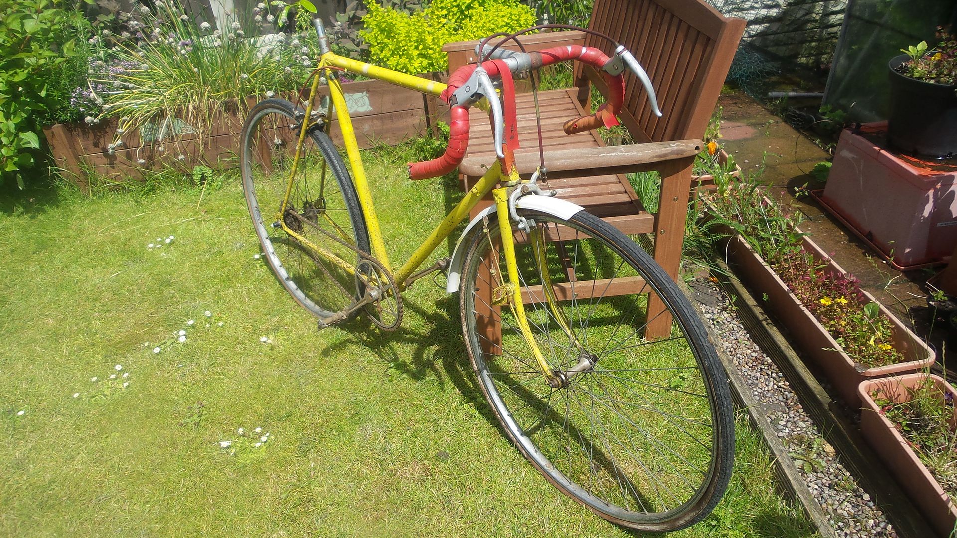 20160702_130156_zpssxbroaud.jpg