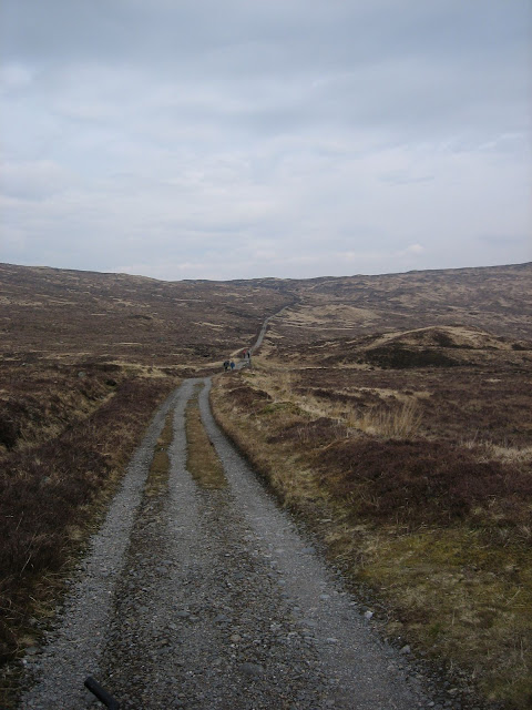 161.JPG