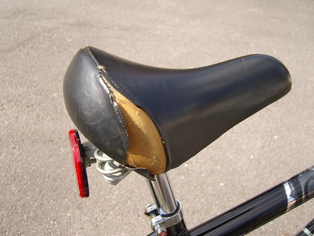 SNC13938.jpg