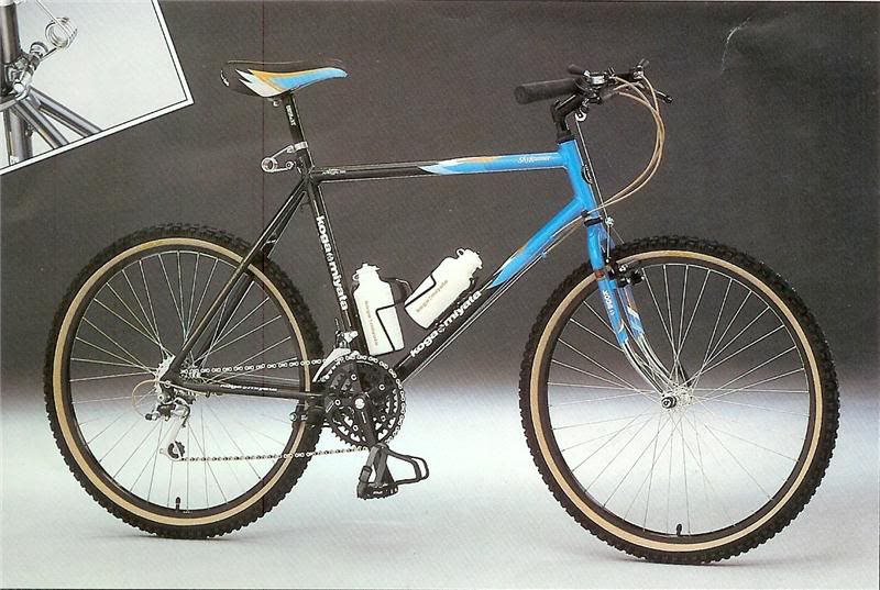89SkyRunner2800.jpg