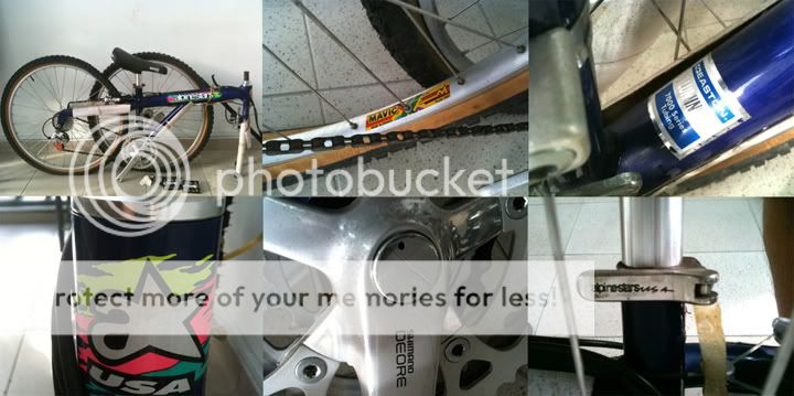 2Alpinestars_BlueDX.jpg