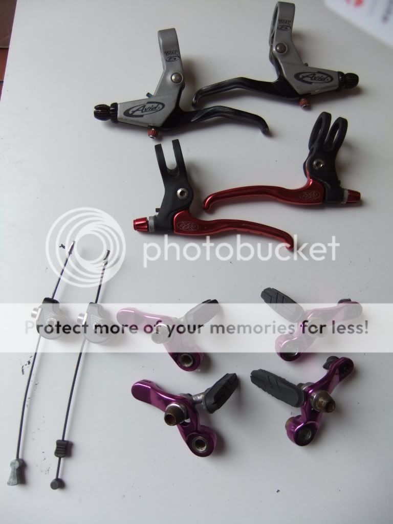 DSCF1017.jpg
