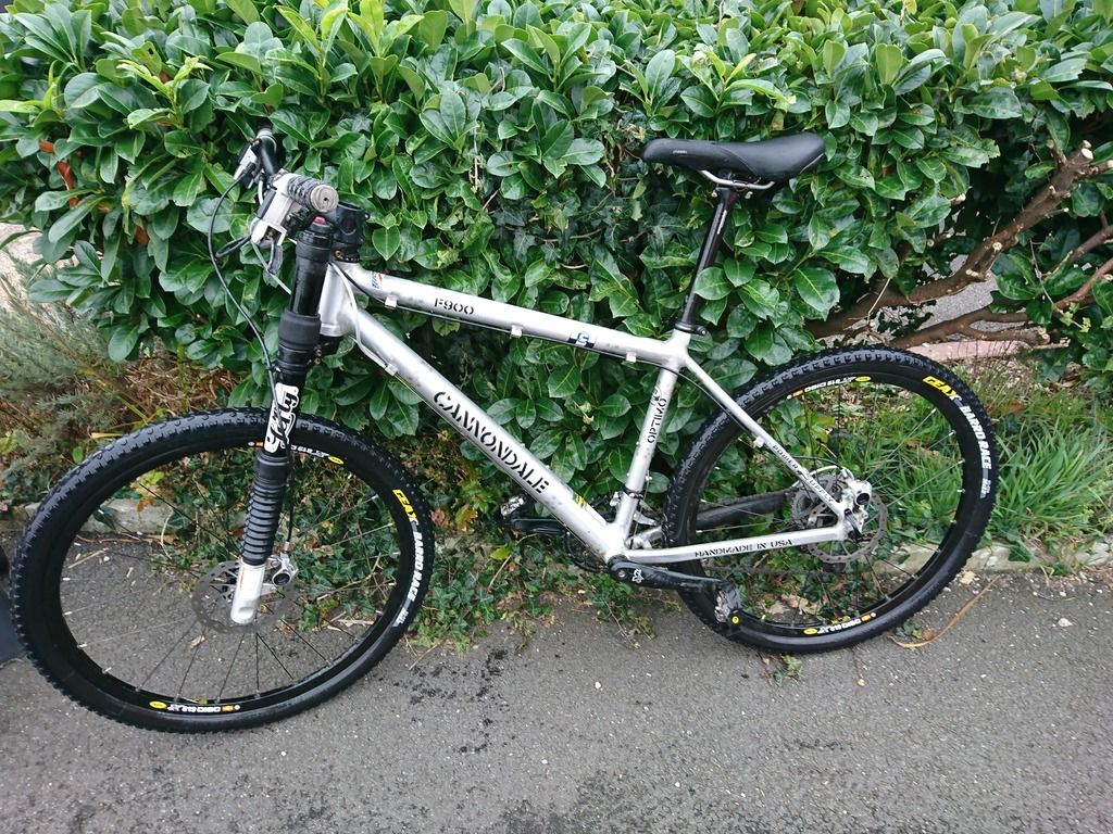 cannondale optimo mtb