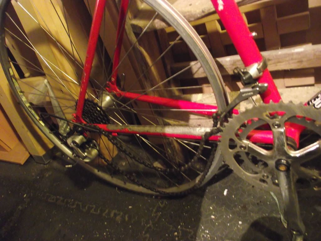 DSCF0683.jpg