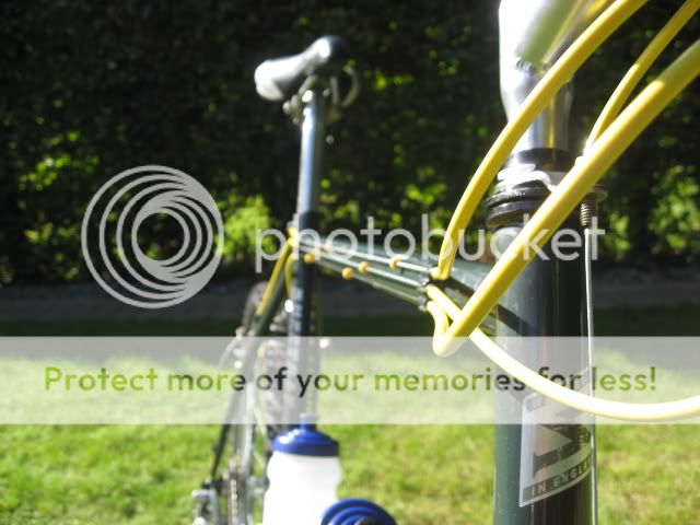 SaracenRufftrax014-1.jpg