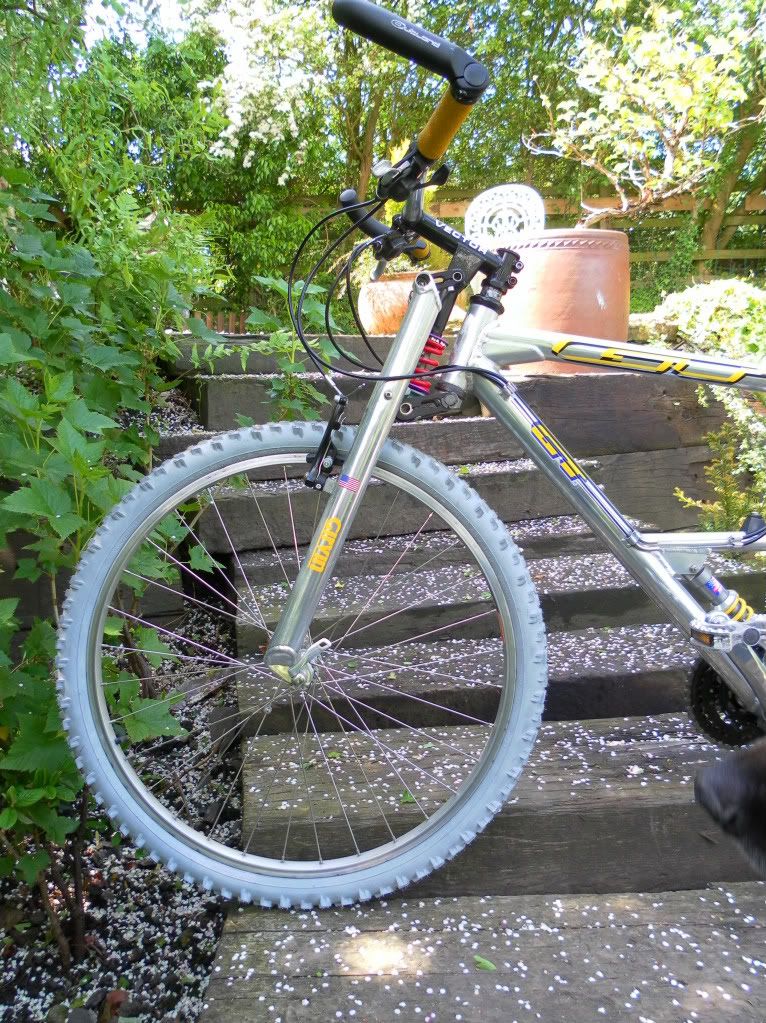 bikes007.jpg