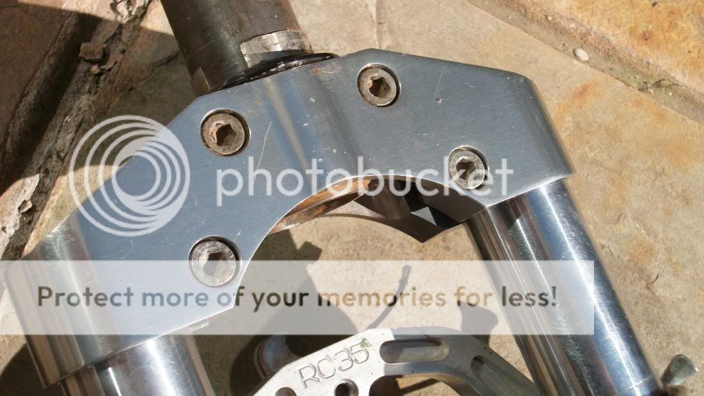 IMGP1772.jpg