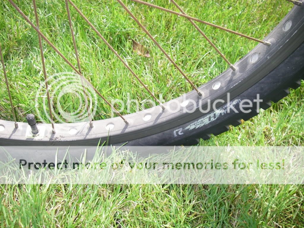 IMGP1160.jpg